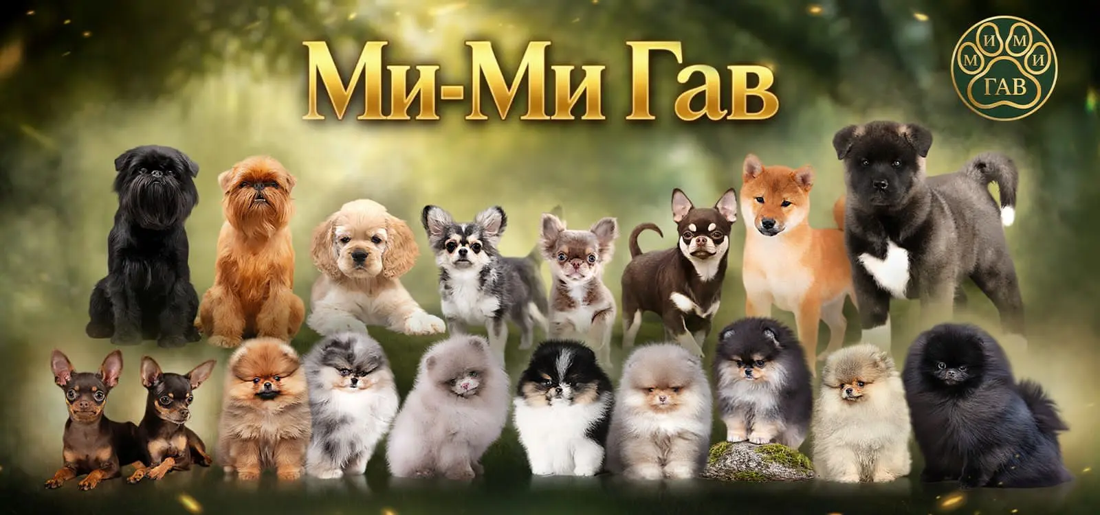 Шапка сайта